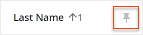 Pin icon
