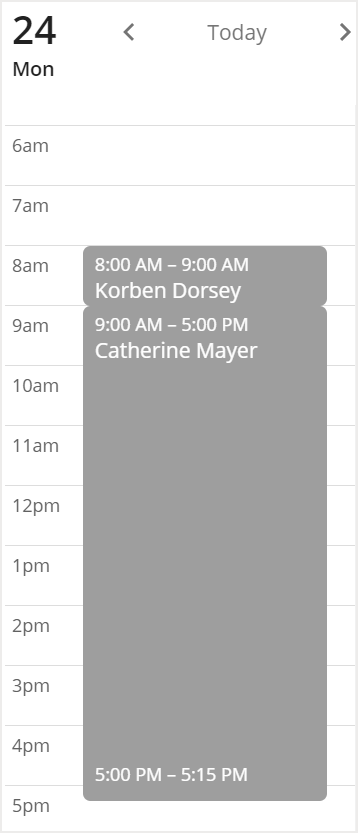Calendar View